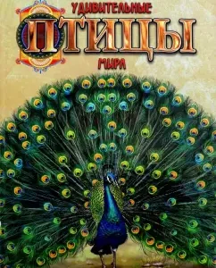 Amazing birds of the world: Valentina Miroshnikova