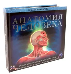 Human anatomy. Discover school: Steve Parker
