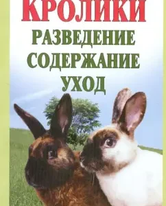 Rabbits. Breeding