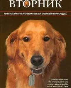 While there is Tuesday. The amazing connection of a person and a dog capable of doing miracles: Luis Montallvan